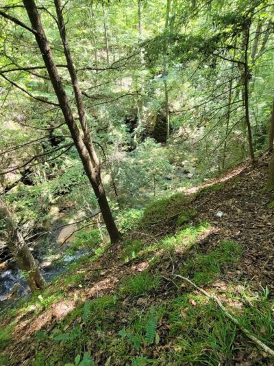 Rocky Ravine Park - Haleyville, AL