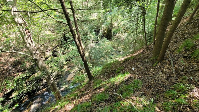 Rocky Ravine Park - Haleyville, AL