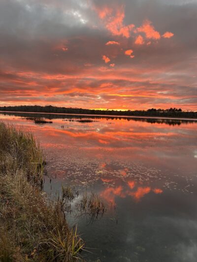 Burrage Pond - Halifax, MA