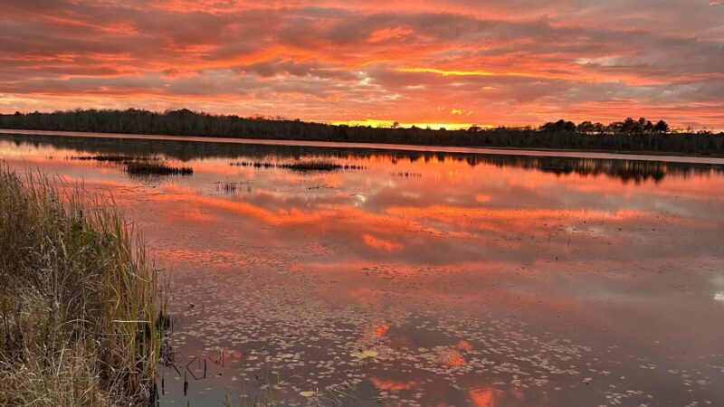 Burrage Pond - Halifax, MA