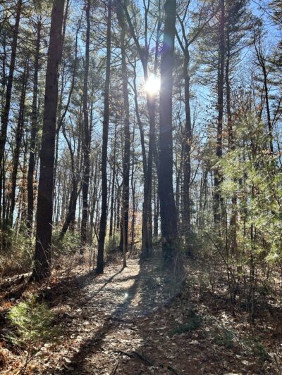 Wildlands Trust - Striar Conservancy - Halifax, MA