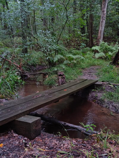 Wildlands Trust - Striar Conservancy - Halifax, MA