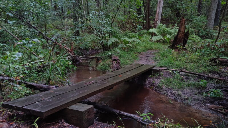 Wildlands Trust - Striar Conservancy - Halifax, MA