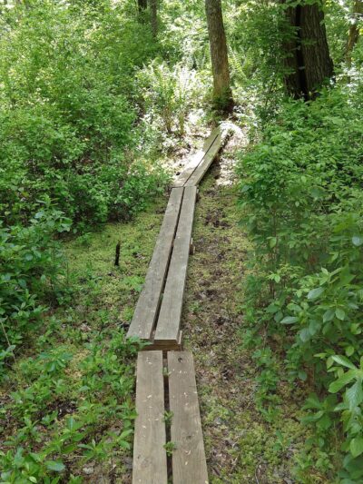 Wildlands Trust - Striar Conservancy - Halifax, MA