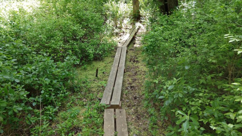 Wildlands Trust - Striar Conservancy - Halifax, MA