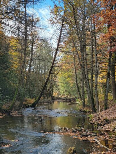 Clark's Creek Appalachian Trail Crossing - Halifax, PA