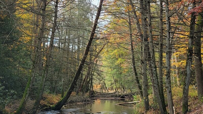 Clark's Creek Appalachian Trail Crossing - Halifax, PA