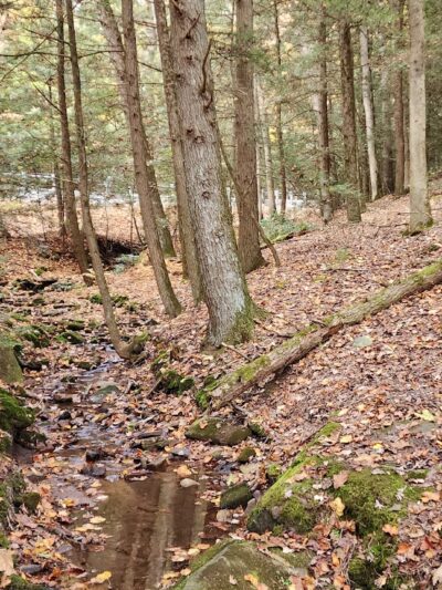 Clark's Creek Appalachian Trail Crossing - Halifax, PA