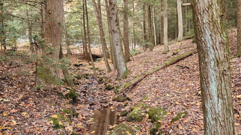 Clark's Creek Appalachian Trail Crossing - Halifax, PA