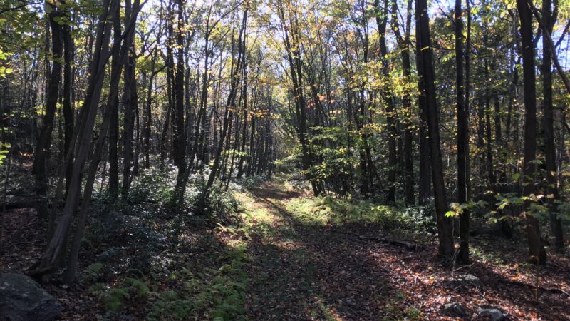 Trailhead access for Sand Springs trail/AT/Stone Tower/The General - Halifax, PA