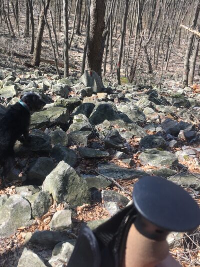 Trailhead access for Sand Springs trail/AT/Stone Tower/The General - Halifax, PA