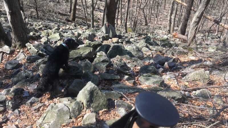 Trailhead access for Sand Springs trail/AT/Stone Tower/The General - Halifax, PA