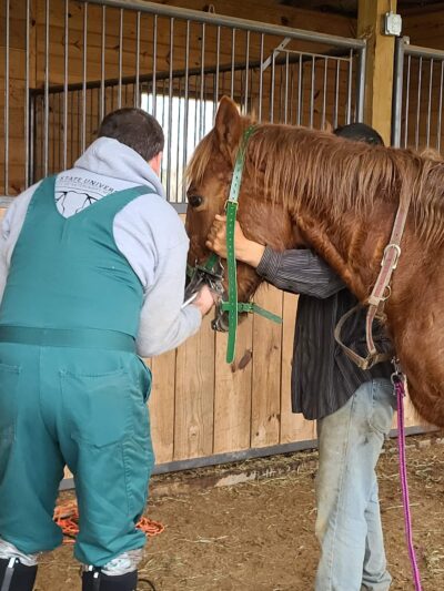 Halifax County Veterinary Center - Halifax, VA