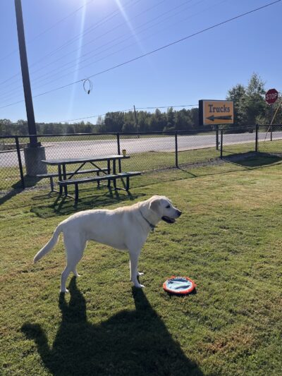 Dog Park at Love's Travel Stops - Hamilton, AL