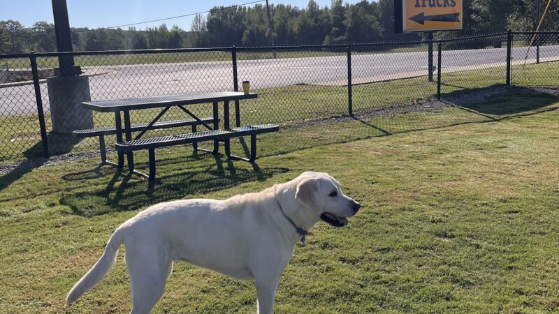 Dog Park at Love's Travel Stops - Hamilton, AL