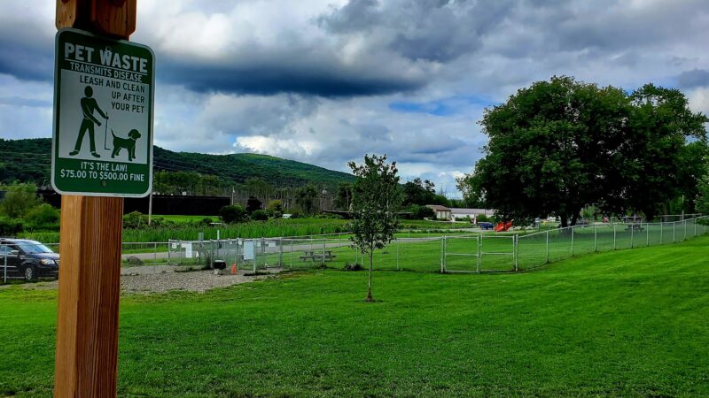 Presley Dog Park - Hammondsport, NY