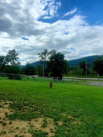 Presley Dog Park - Hammondsport, NY