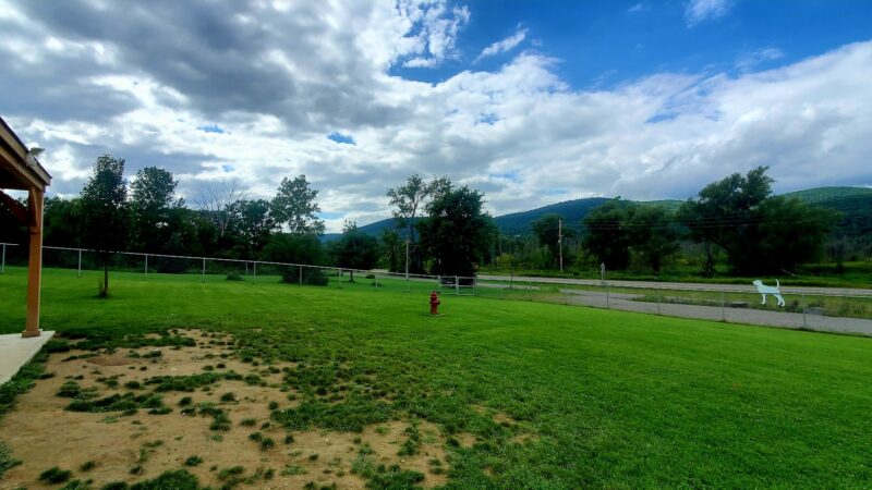 Presley Dog Park - Hammondsport, NY