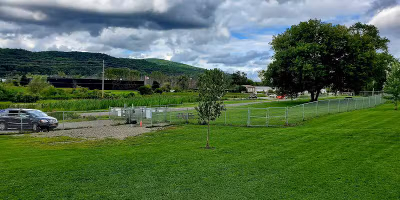 Presley Dog Park - Hammondsport, NY