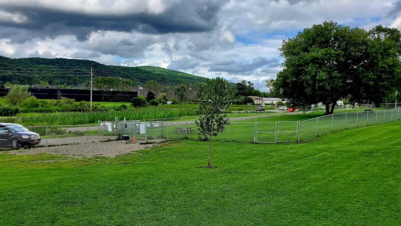 Presley Dog Park - Hammondsport, NY