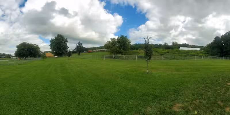 Presley Dog Park - Hammondsport, NY