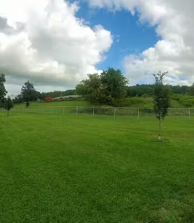 Presley Dog Park - Hammondsport, NY