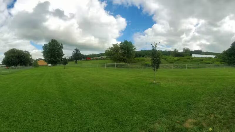 Presley Dog Park - Hammondsport, NY