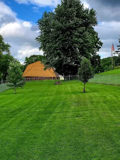 Presley Dog Park - Hammondsport, NY