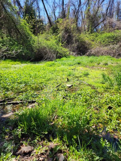 Grandon Farm Trail - Hampden Township, PA