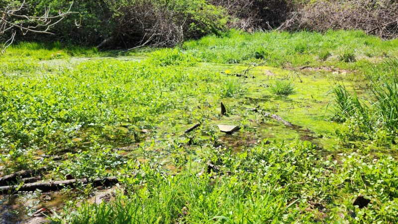Grandon Farm Trail - Hampden Township, PA