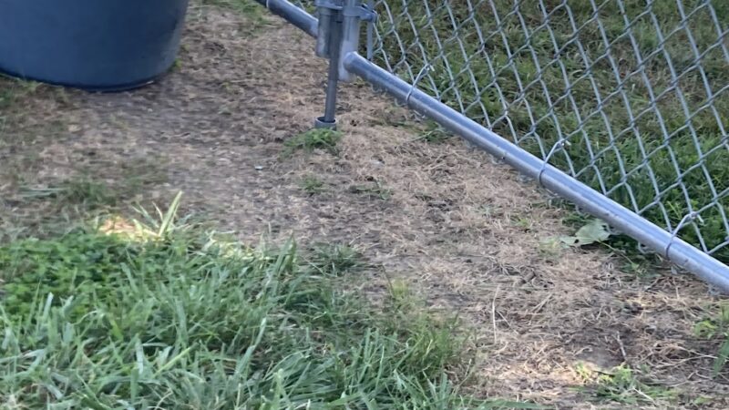 Dog Park at Love's Travel Stops - Hampshire, IL