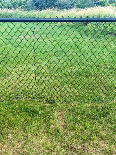 Dog Park at Love's Travel Stops - Hampshire, IL