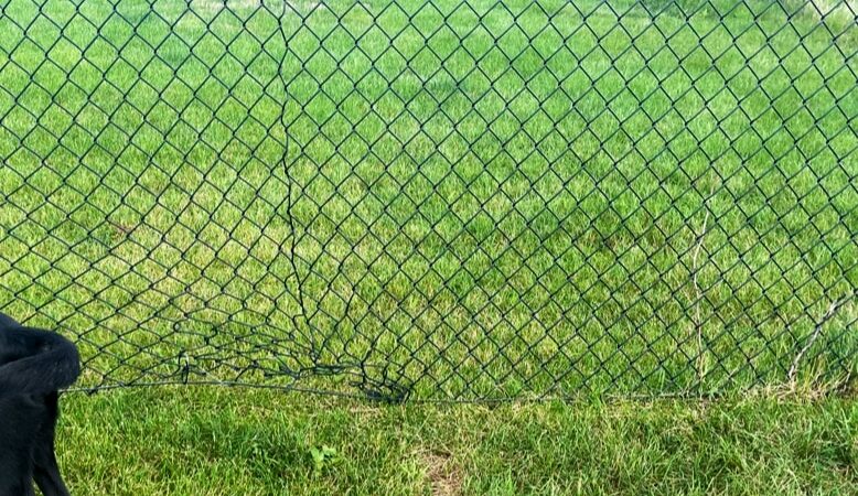 Dog Park at Love's Travel Stops - Hampshire, IL