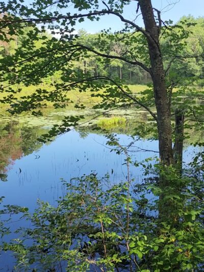 East Rd trailhead - Hampstead, NH
