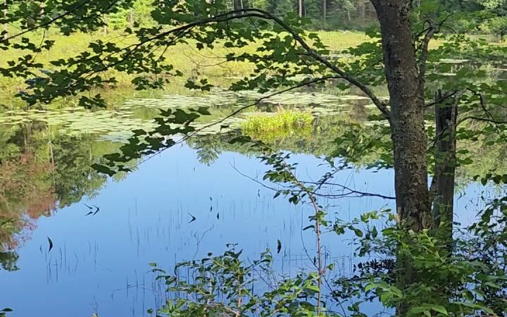 East Rd trailhead - Hampstead, NH