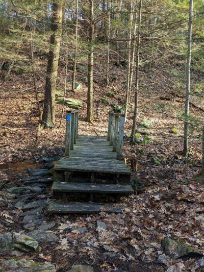 Hampstead Town Forest - Western Section Trails - Hampstead, NH