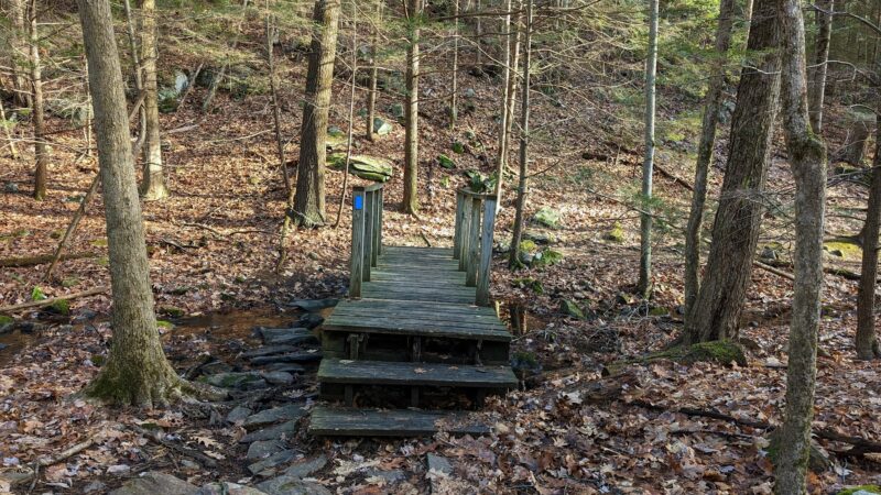 Hampstead Town Forest - Western Section Trails - Hampstead, NH