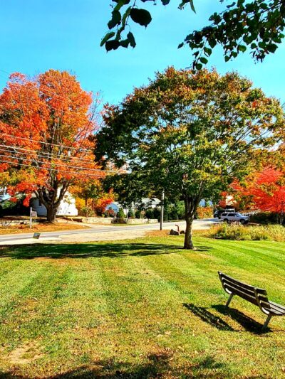 Shop Pond Park - Hampstead, NH