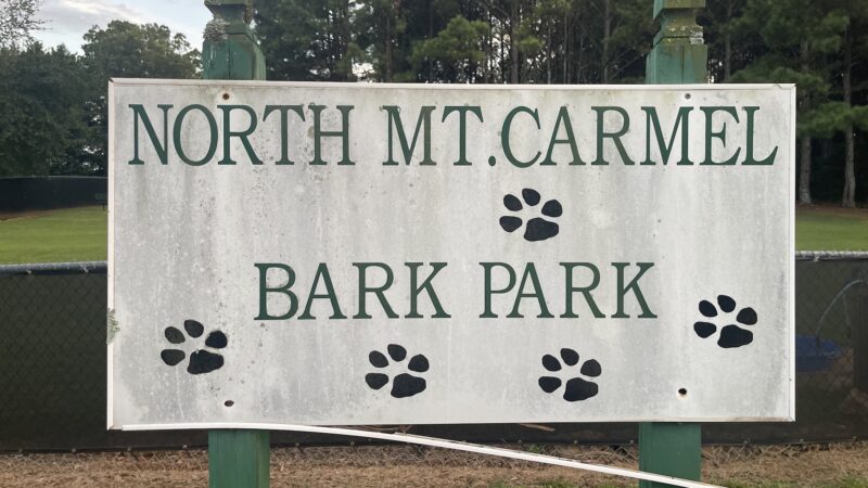 Dog park - Hampton, GA