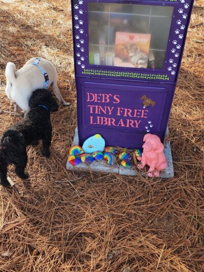 Dog park - Hampton, GA