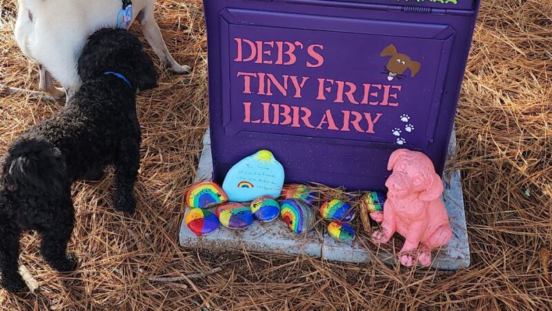 Dog park - Hampton, GA