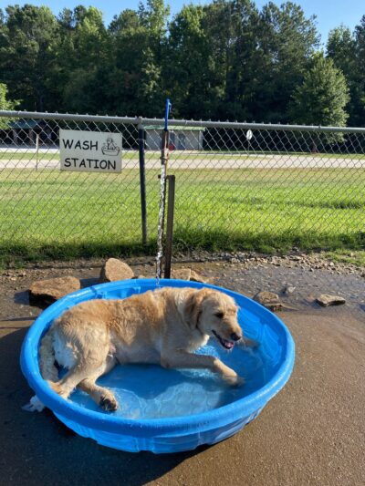 Dog park - Hampton, GA