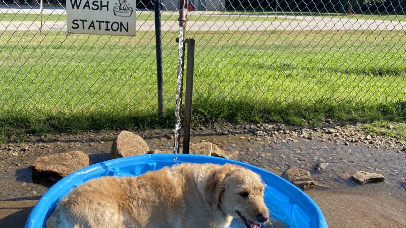 Dog park - Hampton, GA