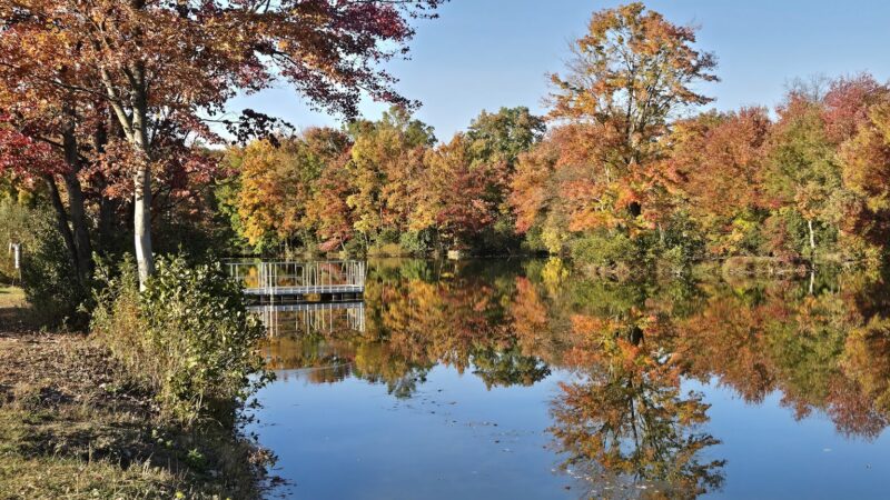 Hoffman Park - Hampton, NJ