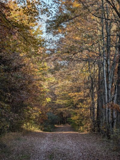 Hoffman Park - Hampton, NJ