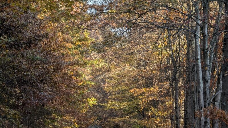 Hoffman Park - Hampton, NJ
