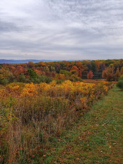 Hoffman Park - Hampton, NJ