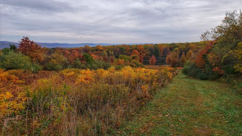 Hoffman Park - Hampton, NJ
