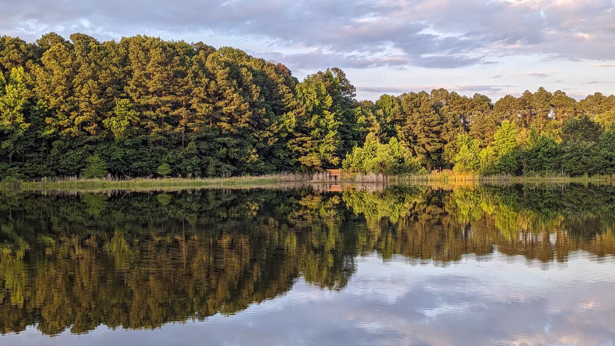Sandy Bottom Nature Park - Hampton, VA