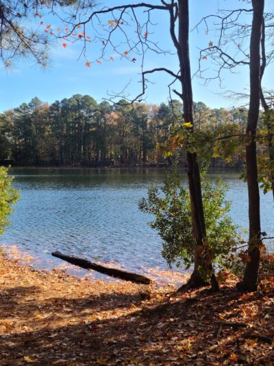 Sandy Bottom Nature Park - Hampton, VA
